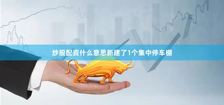 炒股配资什么意思新建了1个集中停车棚